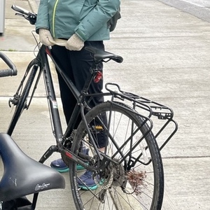 2017 Trek Hybrid Silver, gray or bare metal