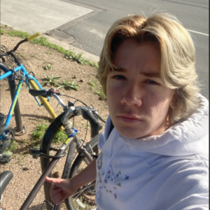 Jamis Citizen 1 Silver, gray or bare metal