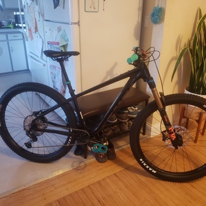 2022 Salsa Timberjack Black