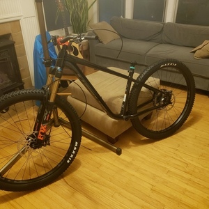 2022 Salsa Timberjack Black