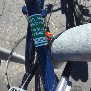 2016 State Bicycle Company "The Saturday" Blue