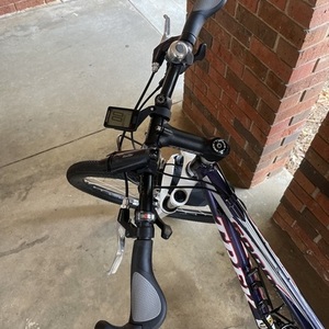 Trek 6000 Purple and White