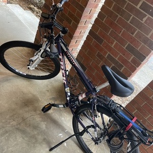 Trek 6000 Purple and White