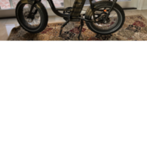 2022 Rad Power Bikes Radrunner 2 electric utility Black