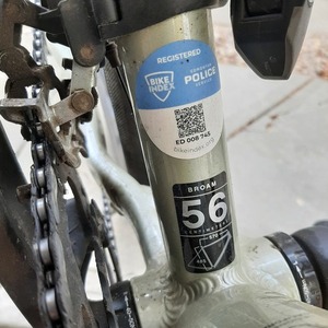 2019 Felt Broam 30 Silver, gray or bare metal