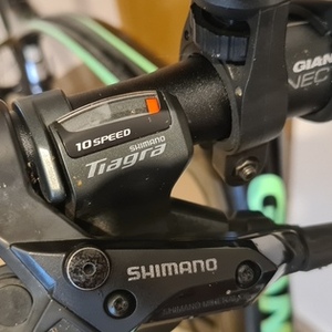 2018 Giant Road bike Black and Green