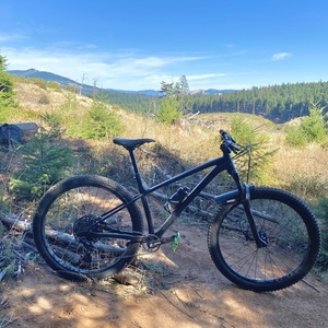 2020 Specialized Fuse Black and Silver, gray or bare metal