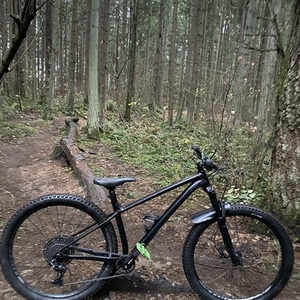 2020 Specialized Fuse Black and Silver, gray or bare metal