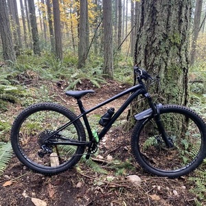 2020 Specialized Fuse Black and Silver, gray or bare metal