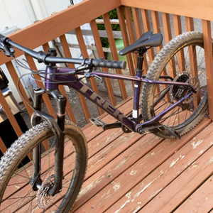 2020 Trek Roscoe 9 Purple