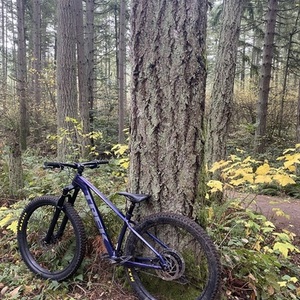 2020 Trek Roscoe 9 Purple