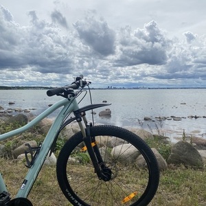 2022 SCOTT Contessa Active 60 Teal