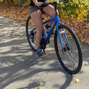 2019 Trek Blue