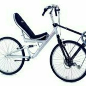 2010 Cruzbike Sofrider Silver, gray or bare metal