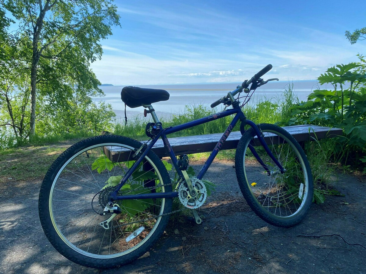 Bike photo