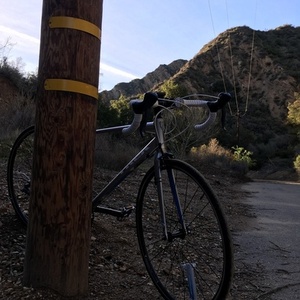 2016 Trek Lexa Silver, gray or bare metal