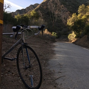 2016 Trek Lexa Silver, gray or bare metal