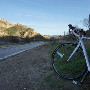 2016 Trek Lexa Silver, gray or bare metal