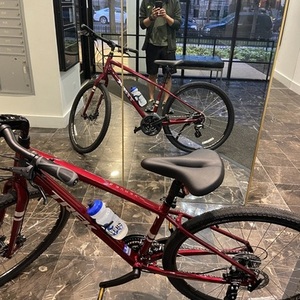 2021 Trek Verve 2 Disc Red