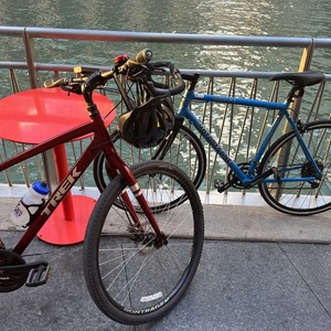 2021 Trek Verve 2 Disc Red