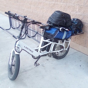 2023 Lectric eBikes Cargo Silver, gray or bare metal and Black