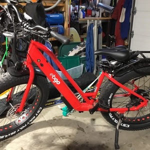 2021 Lectric eBikes CCEF Red