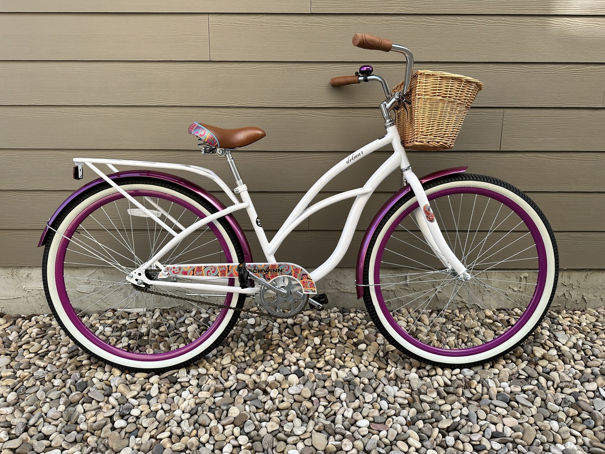 schwinn delmar motorized bicycle