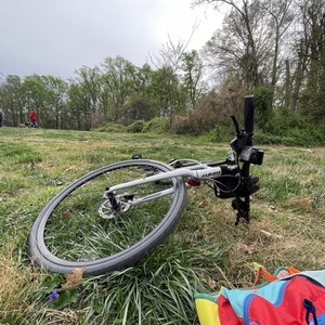 2021 Giant Escape 2 Silver, gray or bare metal