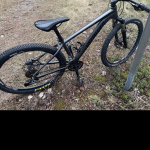 2020 Specialized Silver, gray or bare metal