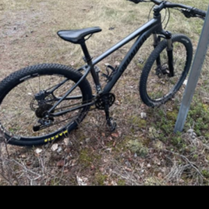 2020 Specialized Silver, gray or bare metal