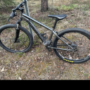 2020 Specialized Silver, gray or bare metal