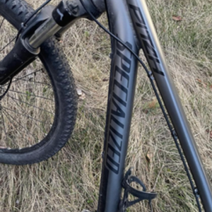 2020 Specialized Silver, gray or bare metal