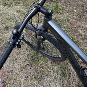 2020 Specialized Silver, gray or bare metal