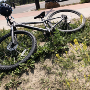 2020 Specialized Silver, gray or bare metal