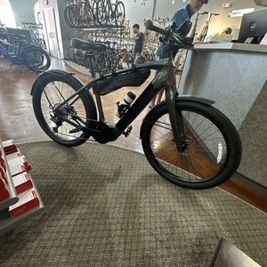 2023 Bosch Allant Silver, gray or bare metal