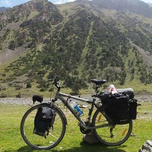 2011 Trek Bodega Silver or Gray and Black