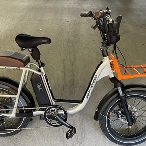 2021 Rad Power Bikes Runner Plus 2 Silver, gray or bare metal