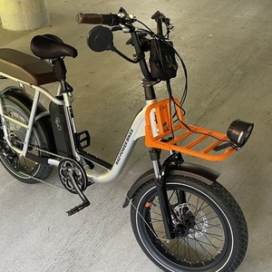 2021 Rad Power Bikes Runner Plus 2 Silver, gray or bare metal