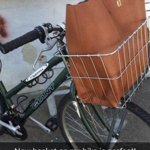 Giant Cypress SX Green