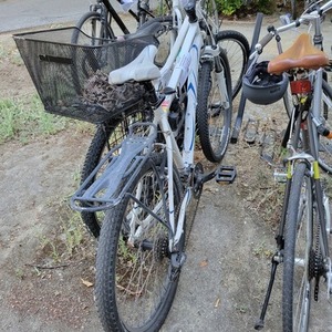 Specialized Myka White and Blue