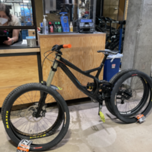 Specialized