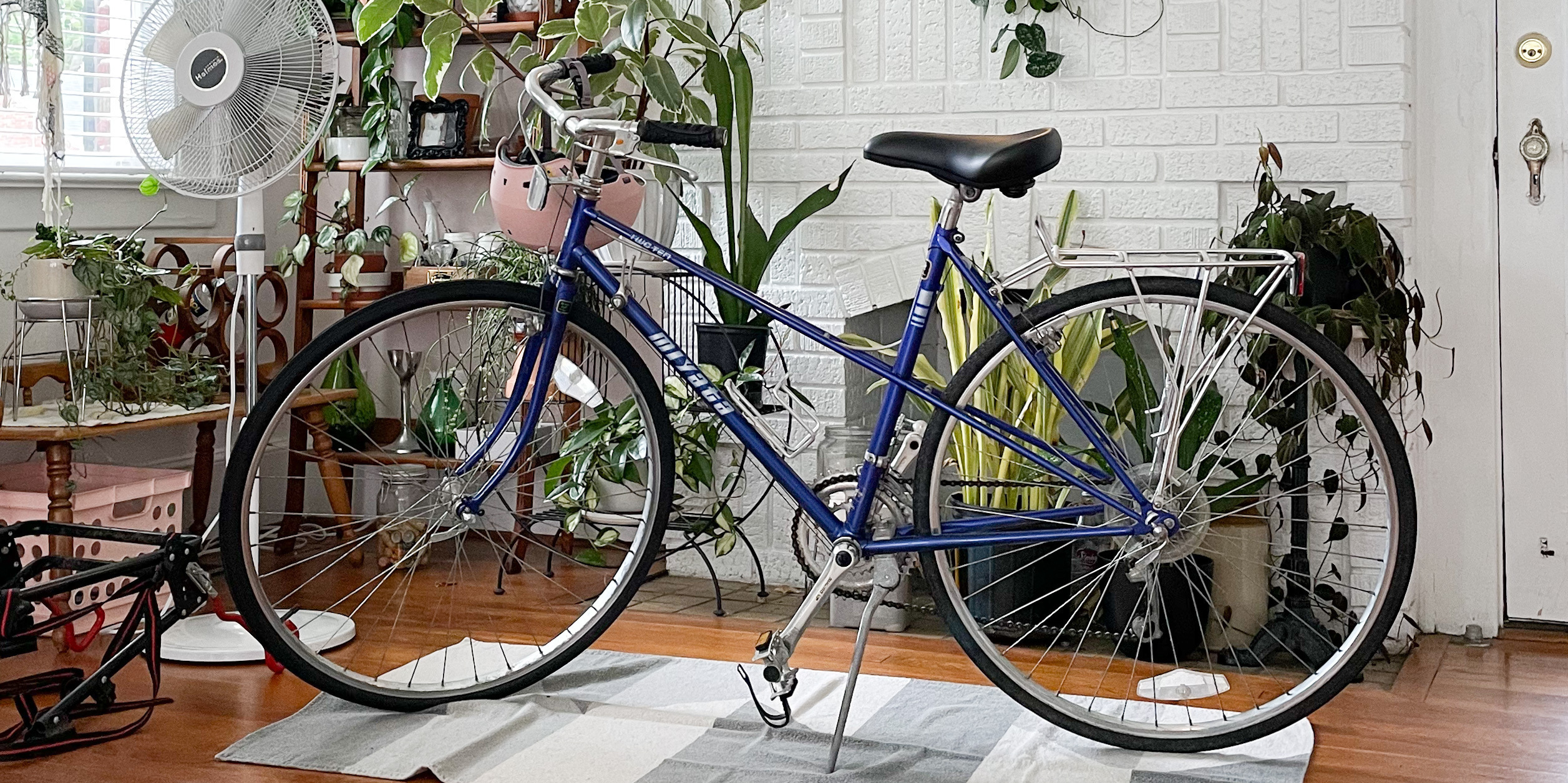 1986 Miyata 210