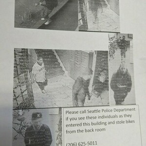 2020 Rad Power Bikes Folding City Bike White