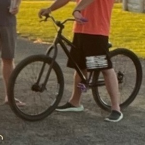 2022 Haro Steel Reserve Black and Purple