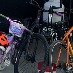 2022 Haro Steel Reserve Black and Purple