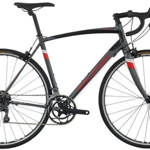 2015 Raleigh Silver or Gray