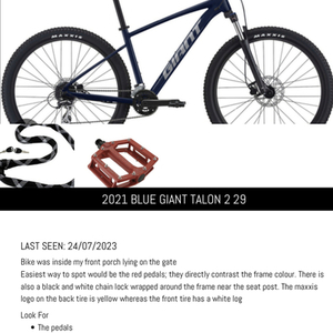 2021 Giant Talon Blue and Silver, gray or bare metal