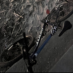 2021 Giant Talon Blue and Silver, gray or bare metal