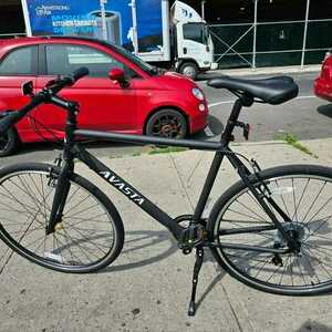 2023 AVASTA Populus Black