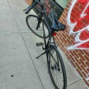 2023 AVASTA Populus Black